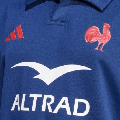 XV de France