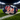 Ballon de Rugby Flowers