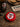 Décapsuleur Logo - Stade Toulousain